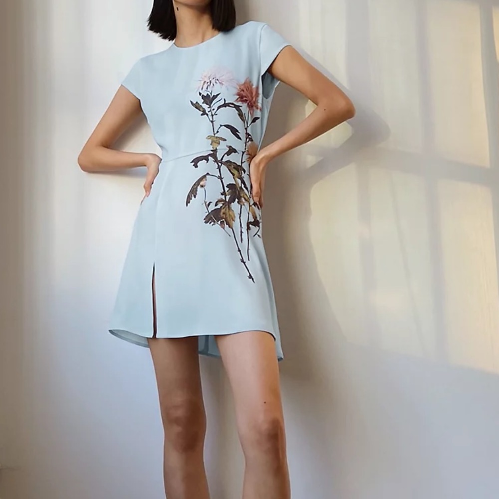 Aritzia babaton Hamptons dress